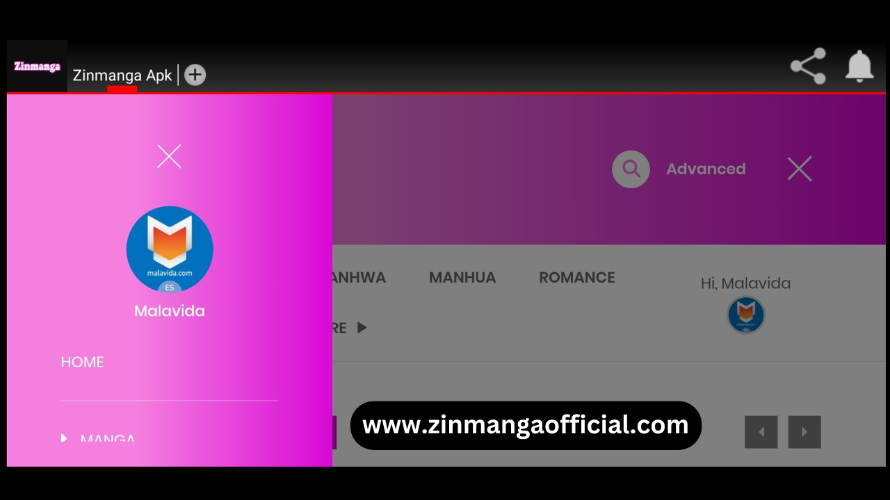 What is the Zinmanga Application?